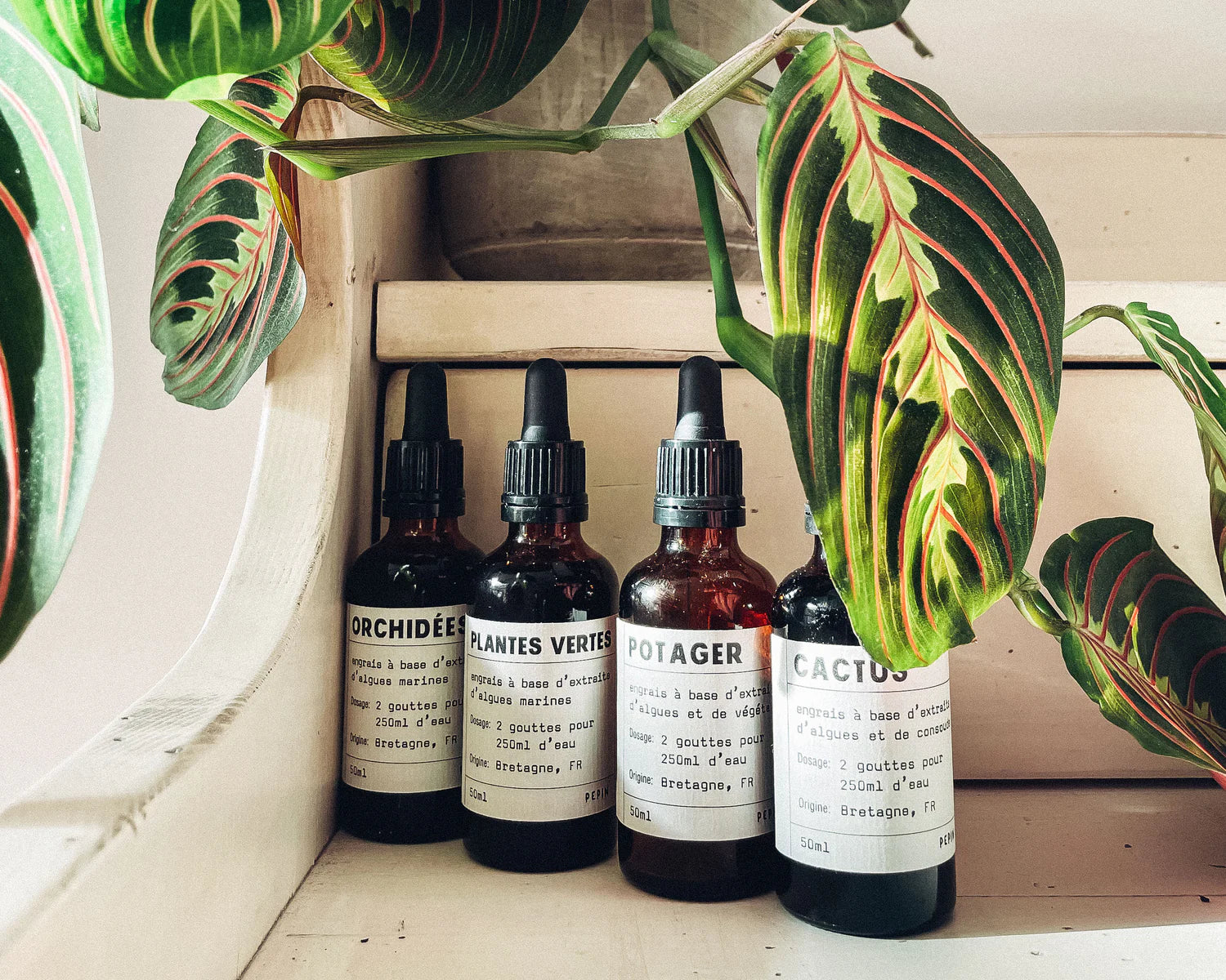 PEPIN – Flüssigdünger für Gemüse & Kräuter, 50 ml, biologisch aus Algen & Pflanzenextrakten