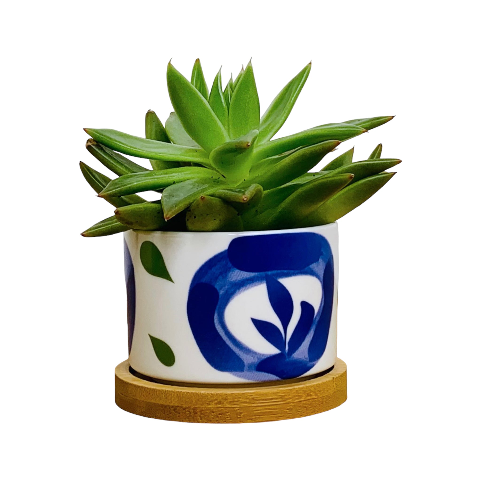 TOKYO – Mini-Blumentopf für Innenbereiche, Keramik, Weiß im japanischen Stil, Ø 6,5 cm, mit Bambusuntersetzer & Drainageloch