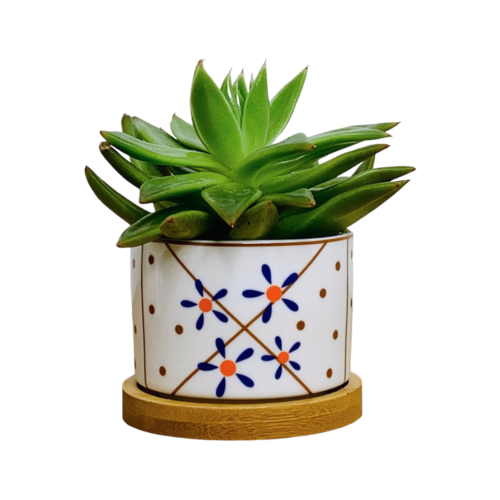 TOKYO – Mini-Blumentopf für Innenbereiche, Keramik, Weiß im japanischen Stil, Ø 6,5 cm, mit Bambusuntersetzer & Drainageloch