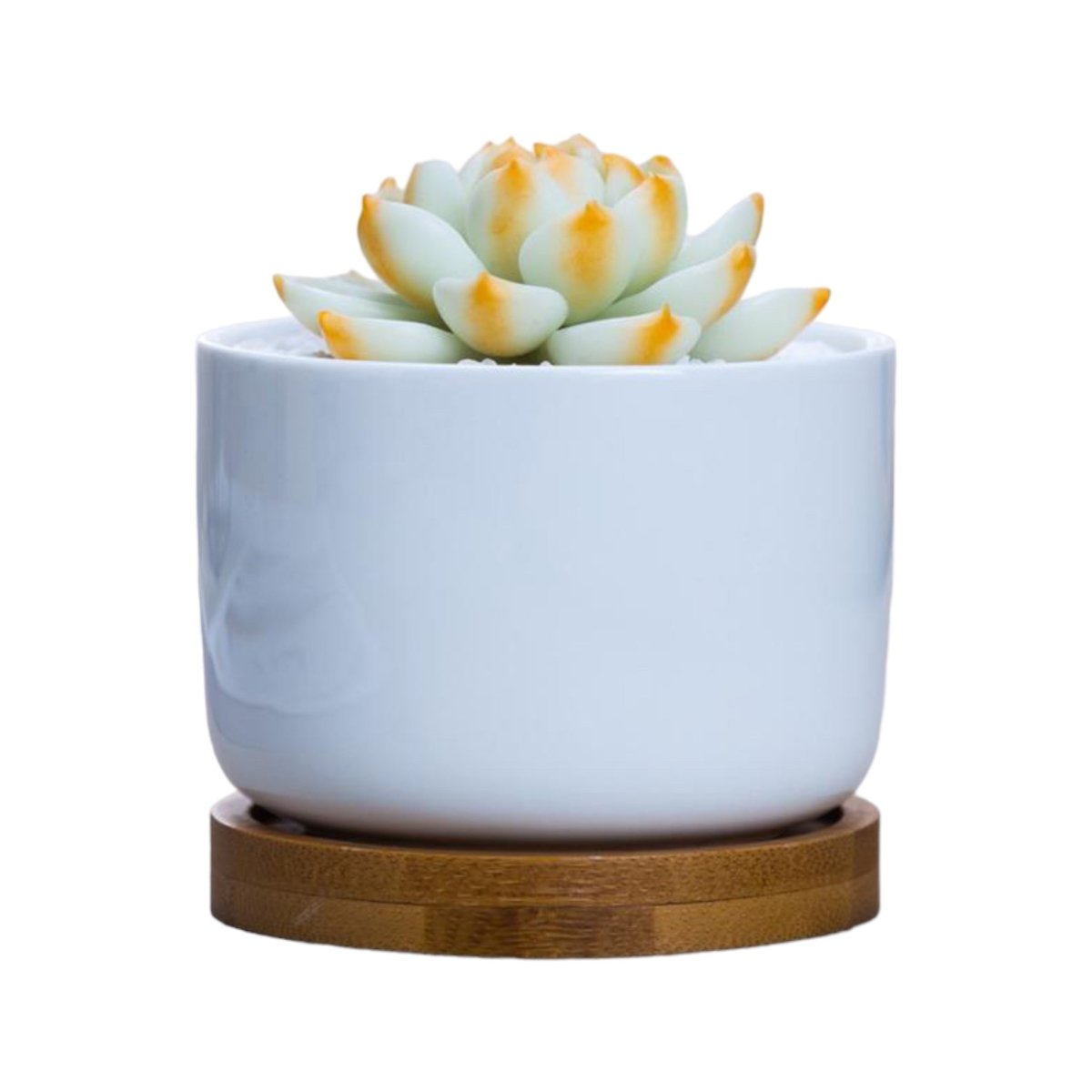 Sukkulententopf Rund, Weiß, Ø 6cm, Bambusuntersetzer -KAKTOS