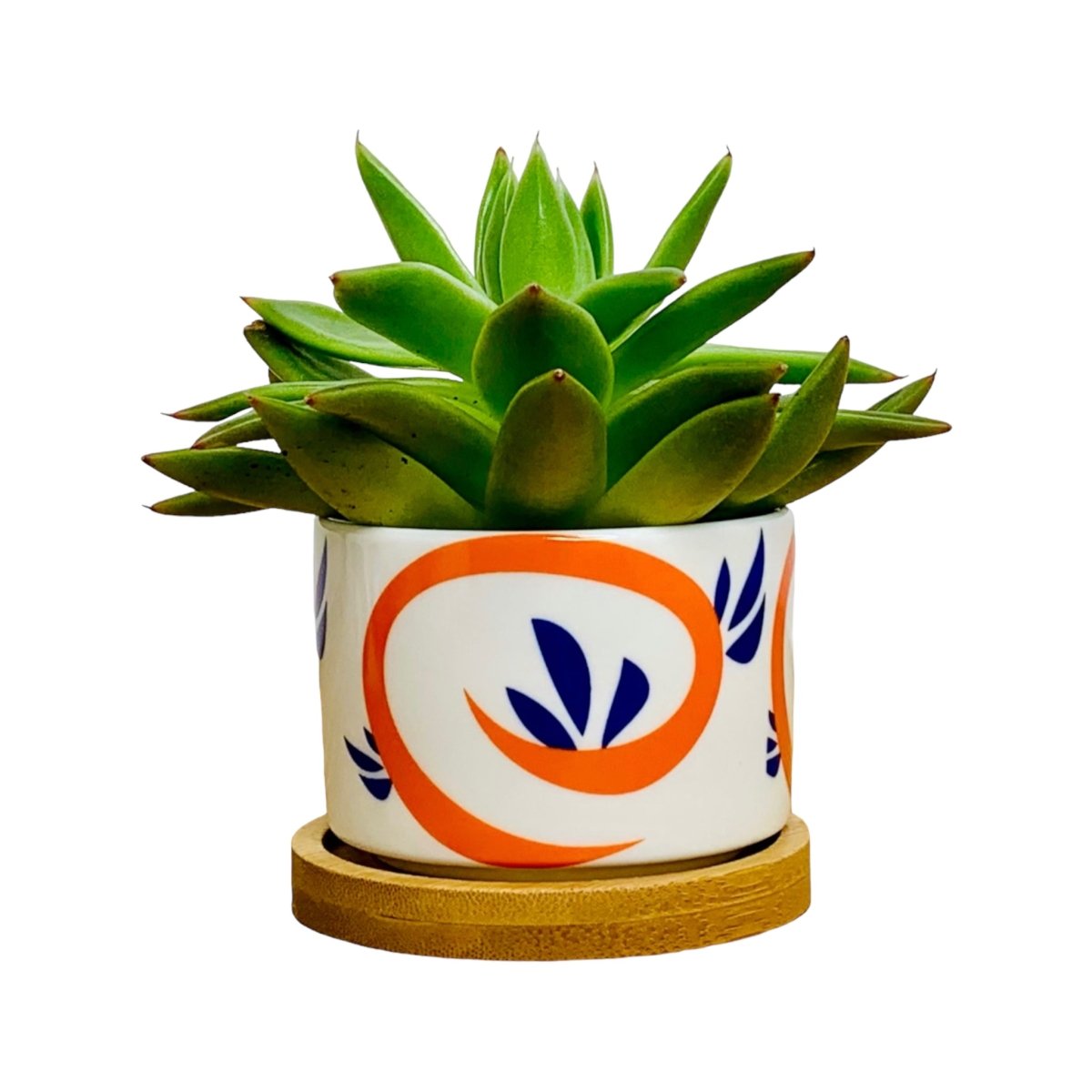 Mini-Blumentopf im japanischen Stil - Tokyo - mit Drainage-Loch, Ø 6,5 cm mit Untersetzer aus Bambus -KAKTOS