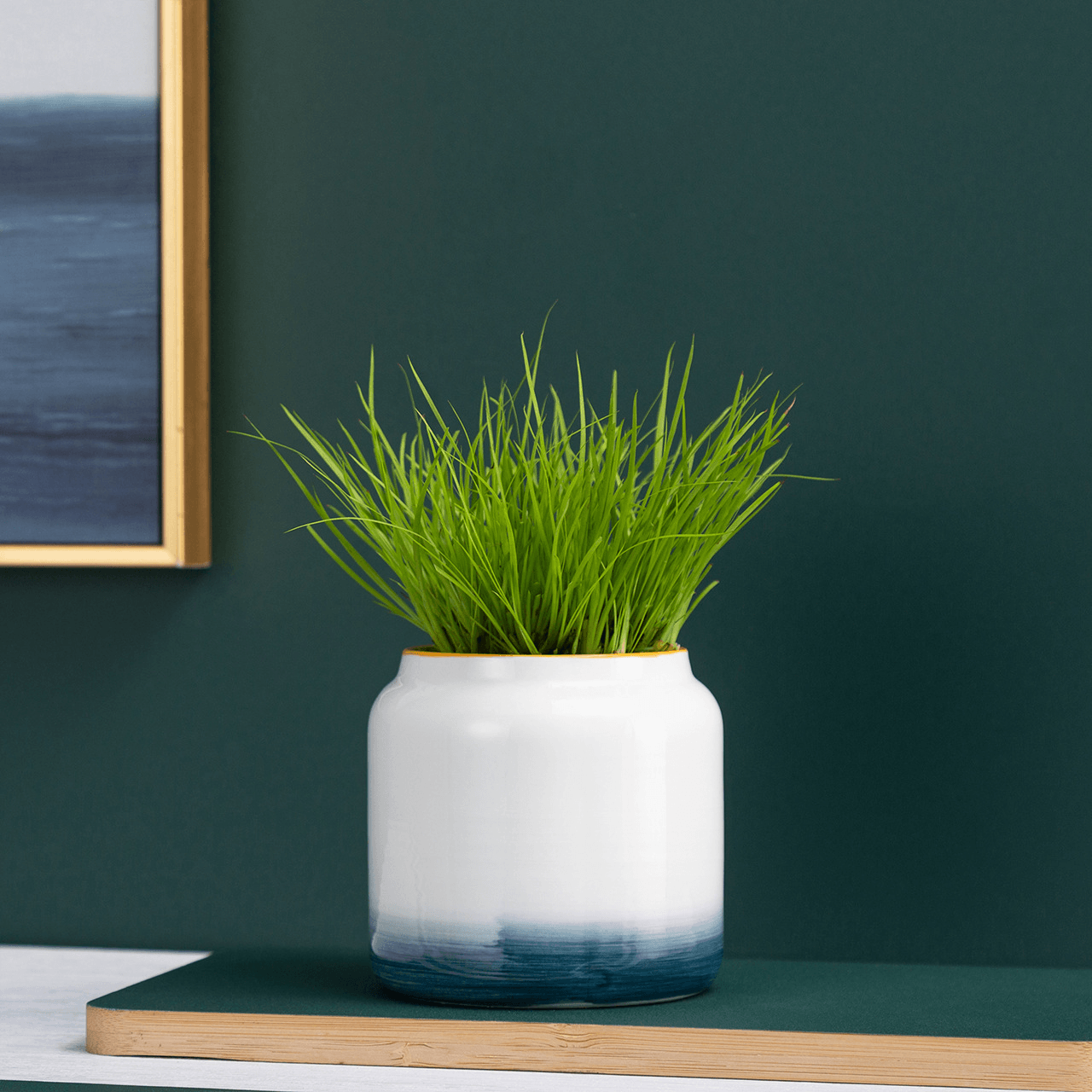 Bromma - Blumentopf aus Keramik, Ø 7cm, handbemalt -KAKTOS Pflanzen & Zubehör