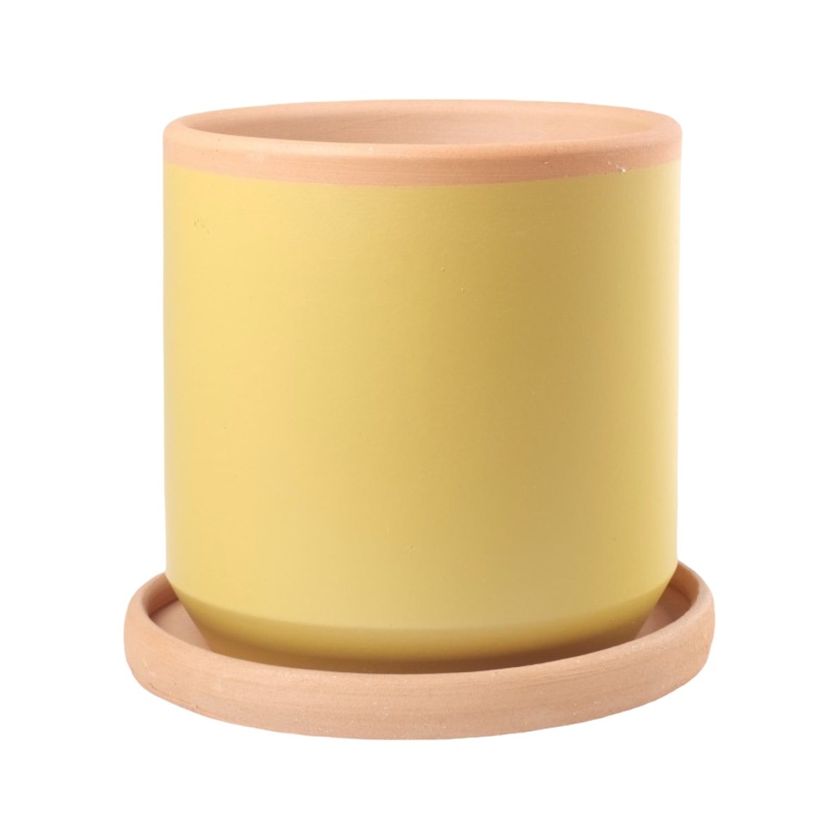 Senfgelber Terracotta-Blumentopf mit Untersetzer, handgefertigt -KAKTOS