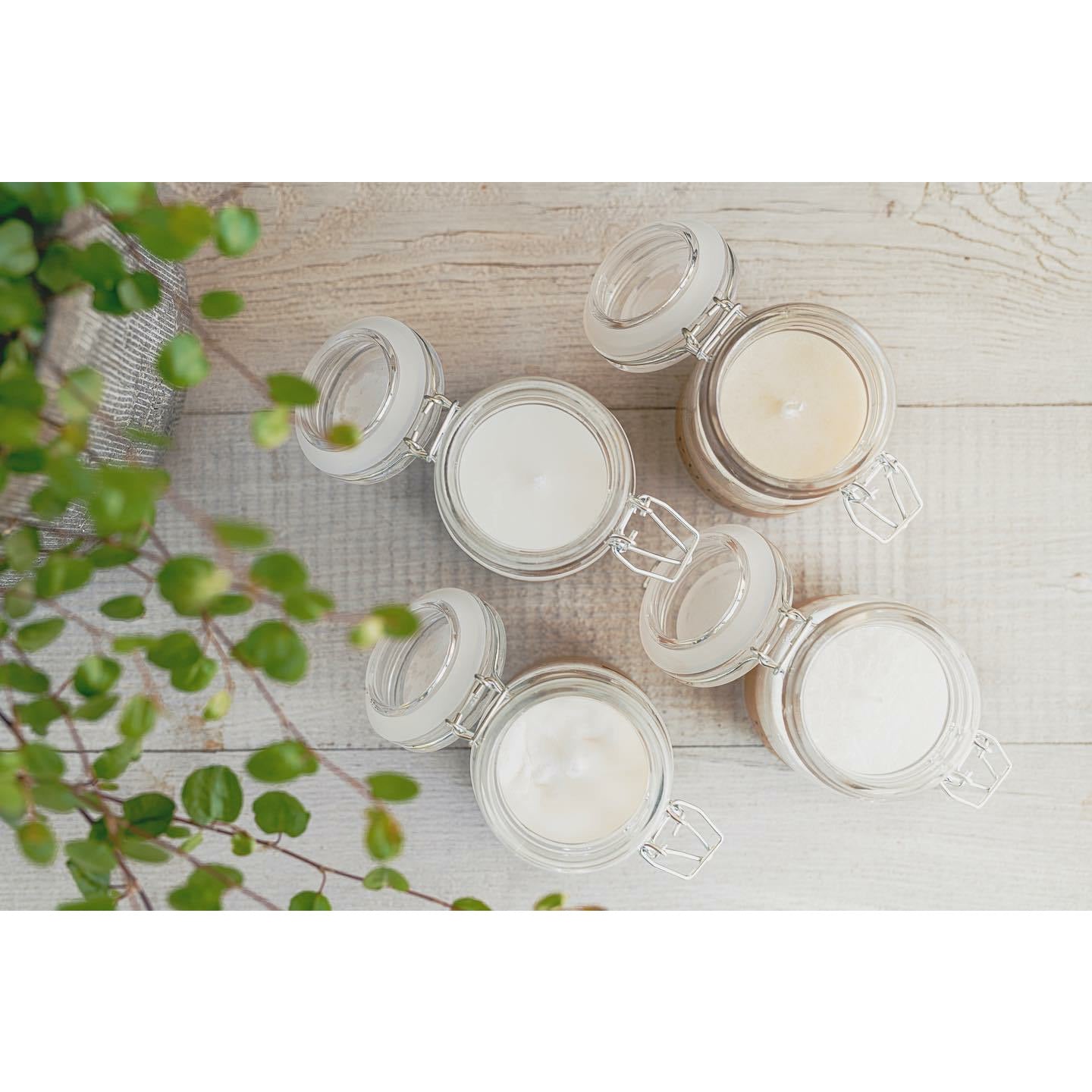 Naturwachskerze im Bügelglas - weiss - 100% Rapswachs -KAKTOS Pflanzen & Zubehör