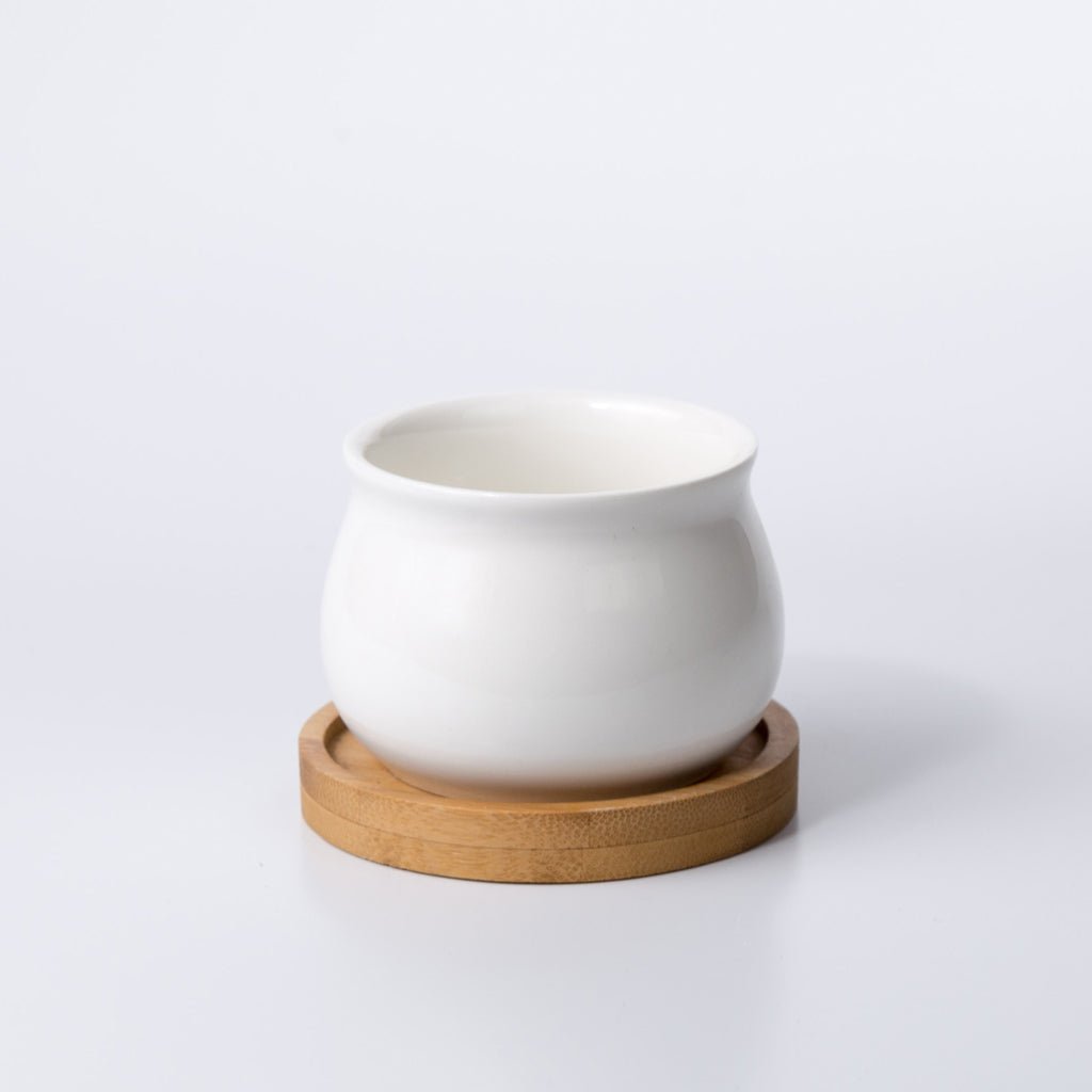 NORDIC Sukkulententopf, rund, Durchmesser ca. 6 cm mit Bambusuntersetzer -KAKTOS Pflanzen & Zubehör