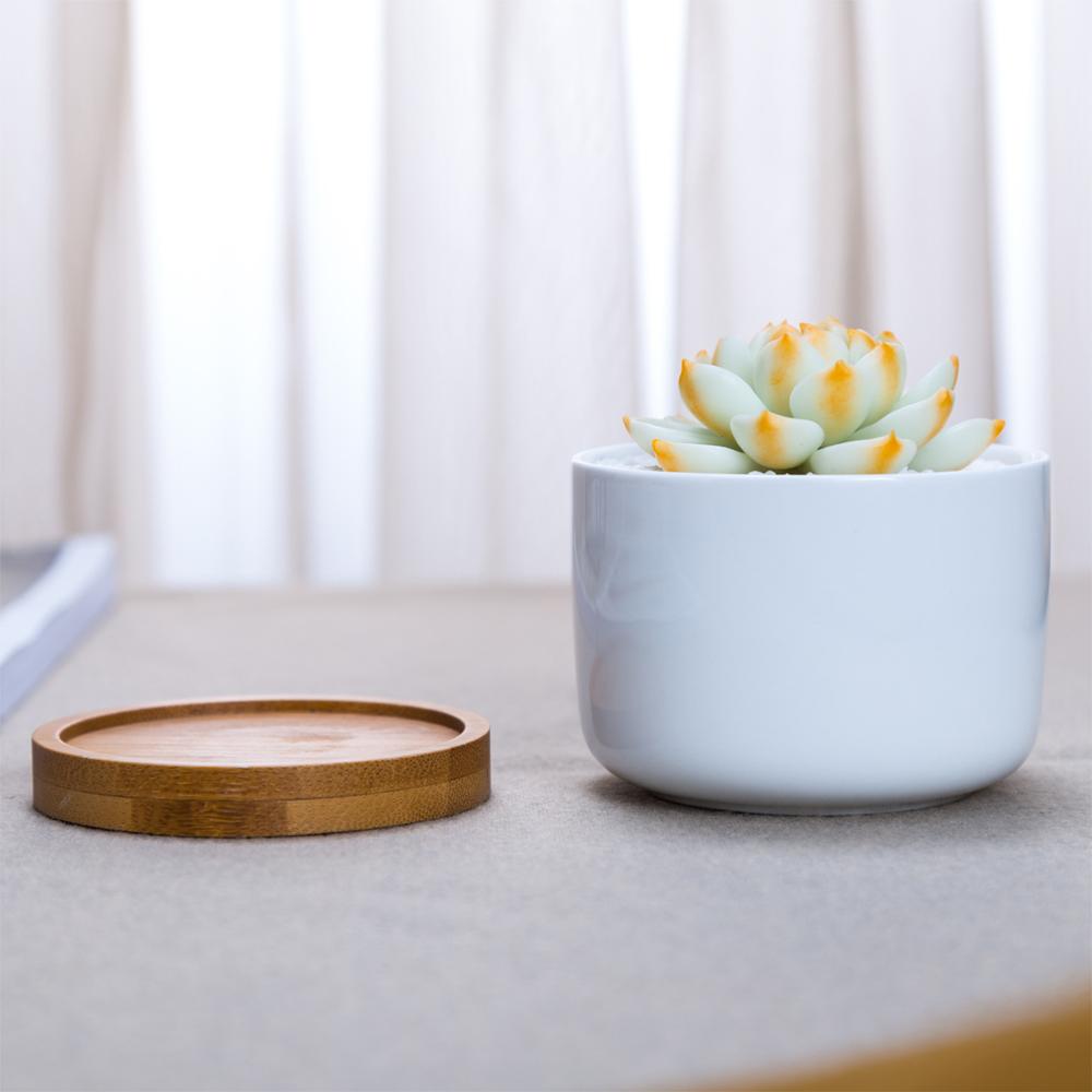 NORDIC Sukkulententopf rund, Durchmesser ca. 6 cm mit Bambusuntersetzer -KAKTOS Pflanzen & Zubehör