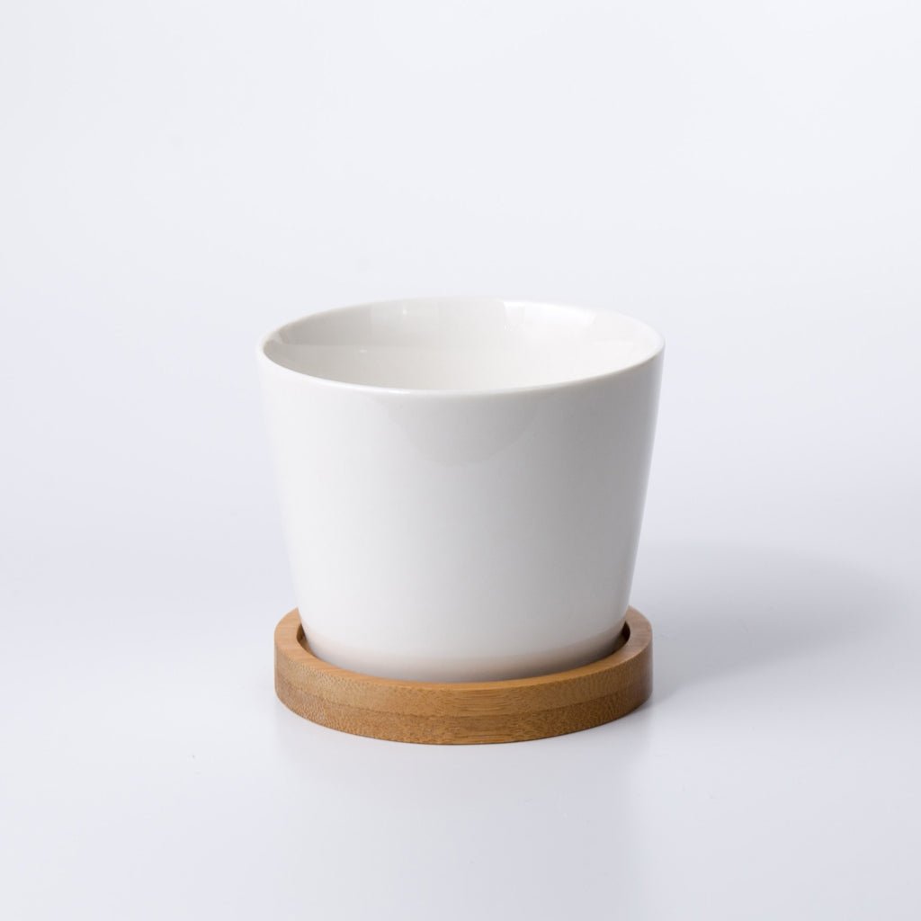 NORDIC Sukkulententopf, rund, Durchmesser ca. 8 cm mit Bambusuntersetzer -KAKTOS Pflanzen & Zubehör