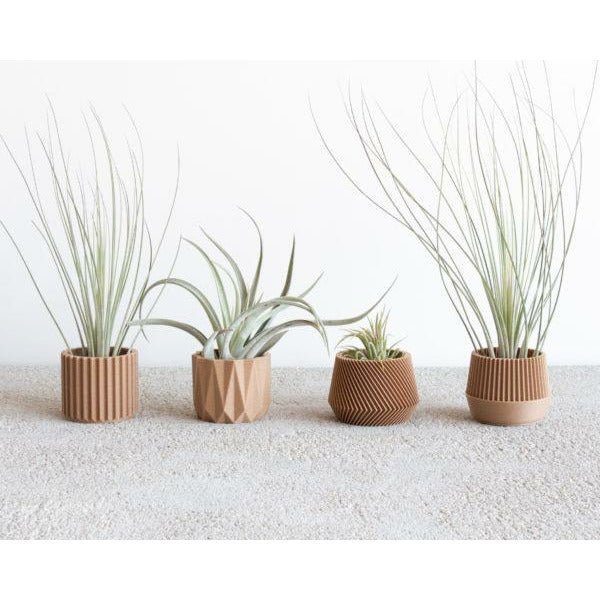 Robin Wood Topf Diamond Ø5,5cm -KAKTOS