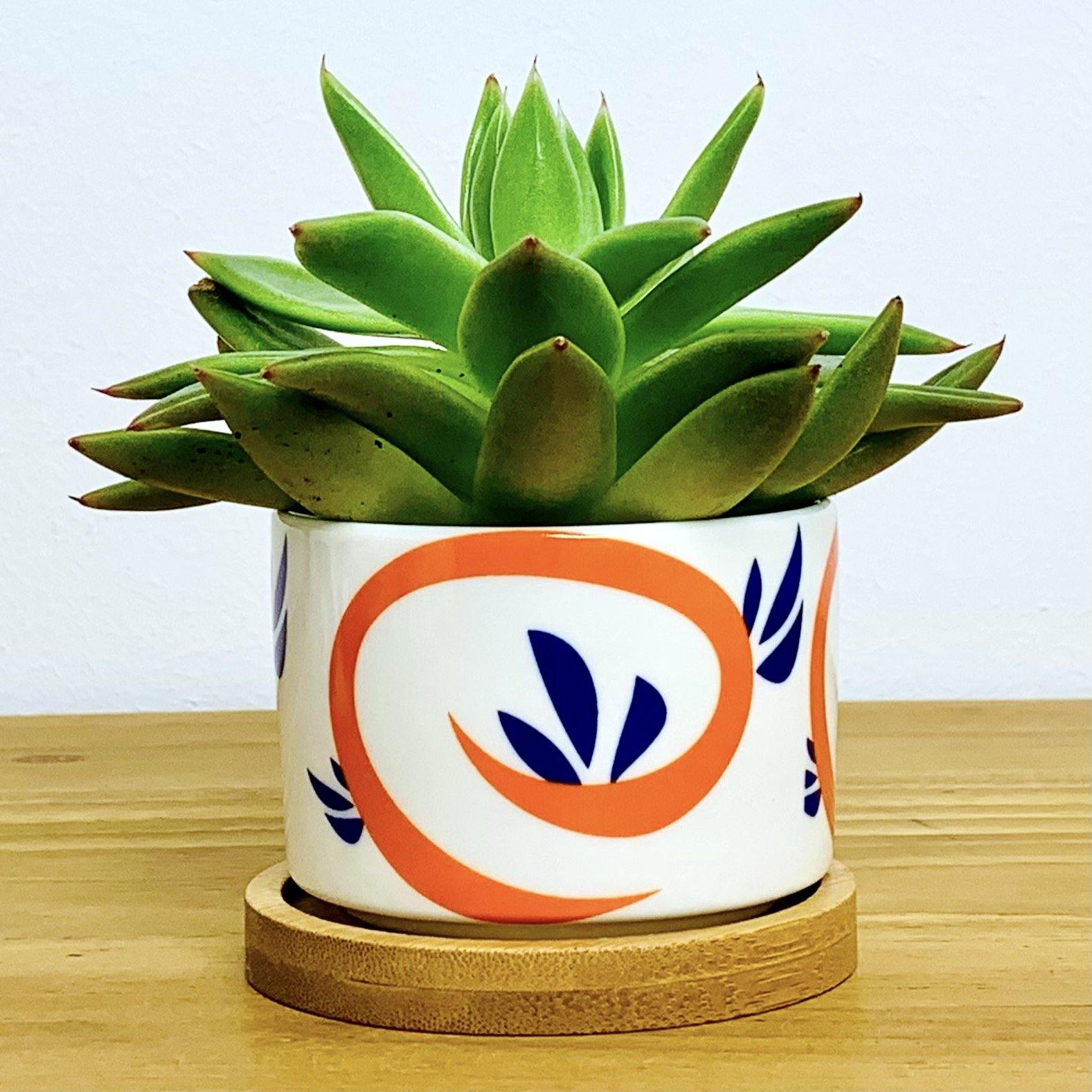 Tokyo - Blumentopf mit Drainageloch, Ø6,5cm mit Bambusuntersetzer -KAKTOS Pflanzen & Zubehör