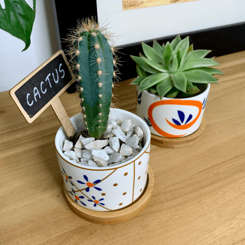 Tokyo - Blumentopf mit Drainageloch, Ø6,5cm mit Bambusuntersetzer -KAKTOS Pflanzen & Zubehör