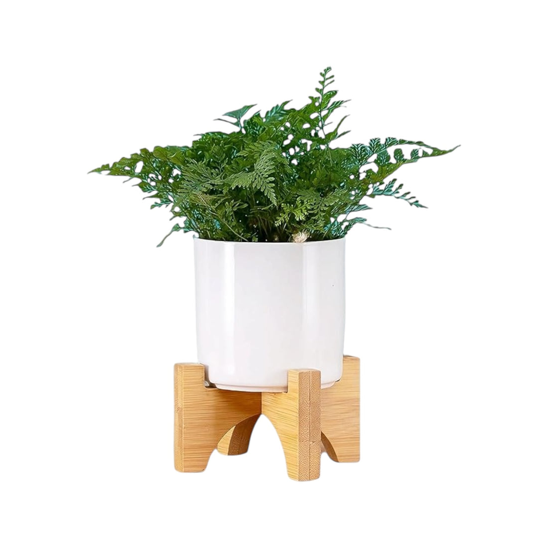 MALA – Zylindrischer Mini-Topf aus Keramik, Weiß, Ø 9 cm, mit Bambusständer &amp; Drainageloch
