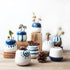 5er Set Mini-Sukkulententopf mit Loch- Ø6cm - Japanisch blau -KAKTOS Pflanzgefäße & Zubehör