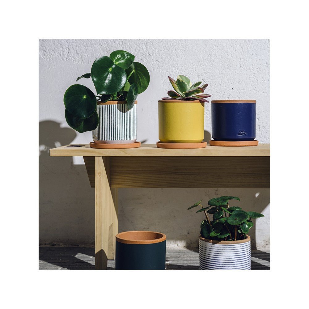Casa Atlântica Terracotta-Blumentopf (Ø 13cm) in Waldgrün mit Untersetzer, handgefertigt -KAKTOS