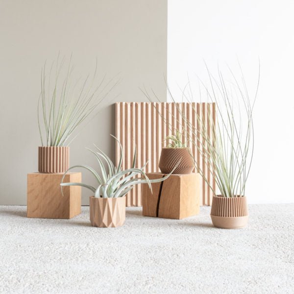 SET aus 4 MINI-Pflanzgefäßen: 100% pflanzliches/nachhaltiges Material -KAKTOS Pflanzen &amp; Zubehör